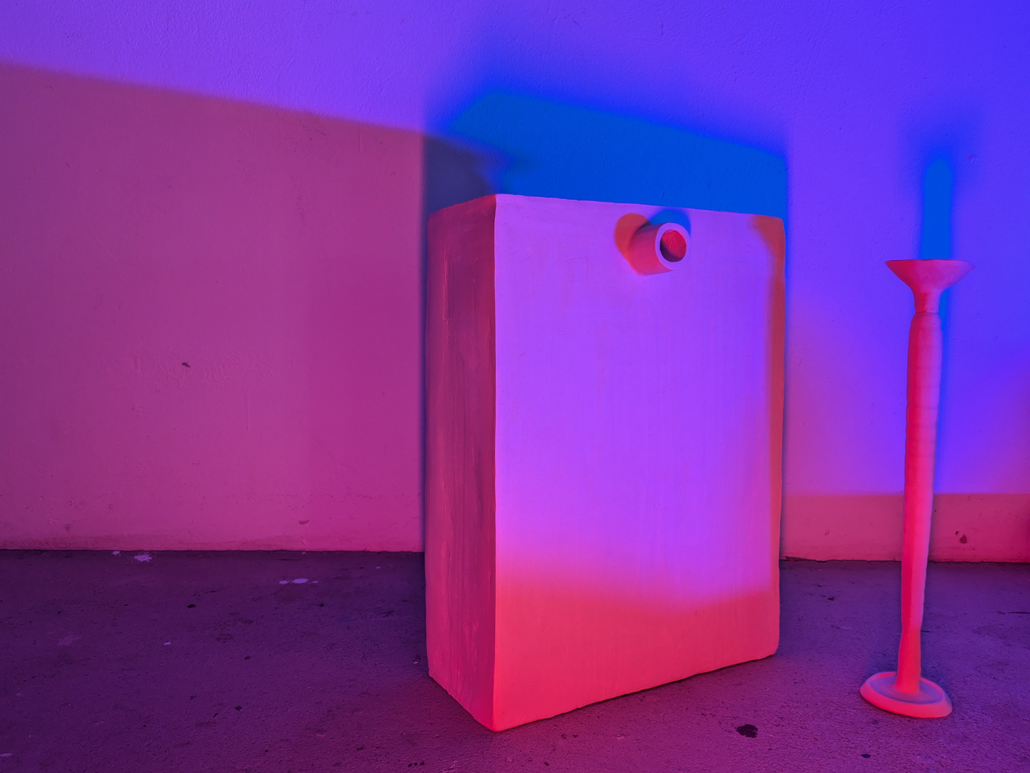 Magdalena Berger. Certain Expectation